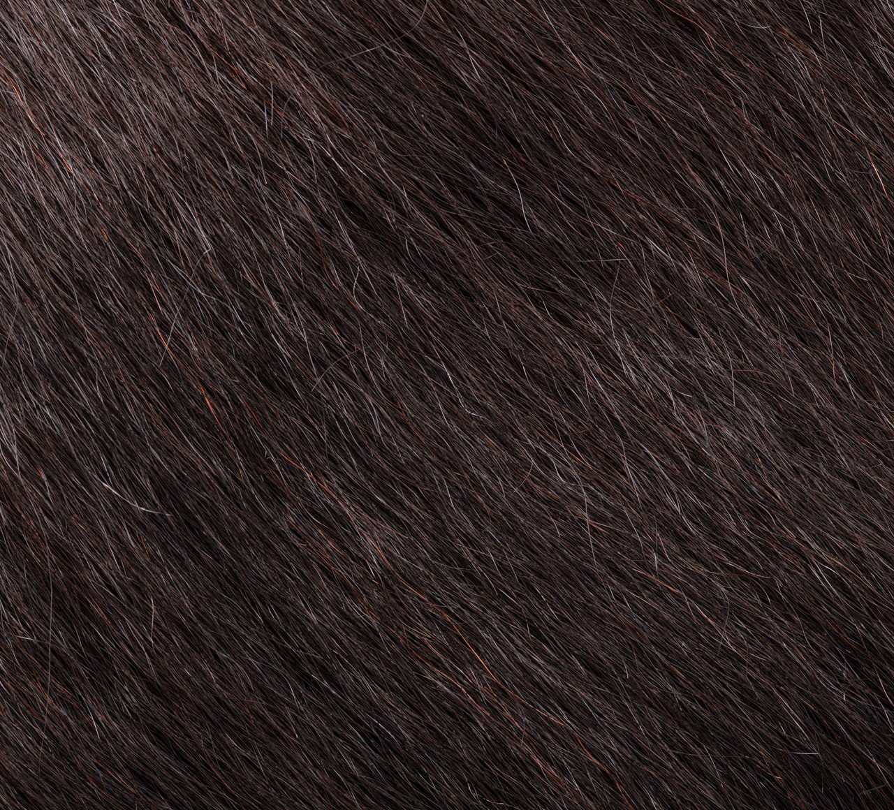 Mayvera™ Virgin Brazilian Kinky Straight 4” x 4” Standard Lace Closure