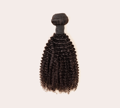 Virgin Brazilian Curly Bundle